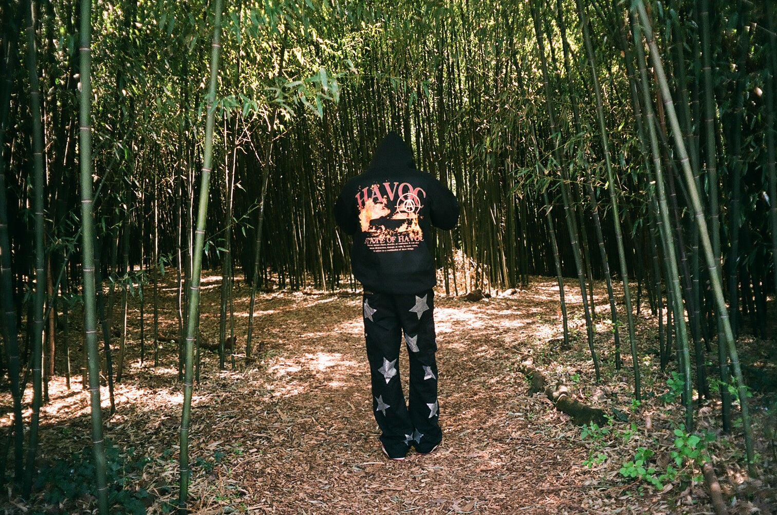 CHAOS - Heavyweight Hoodie