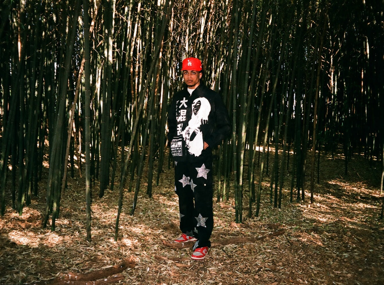 FALLEN STARS - RHINESTONE CARGO PANTS
